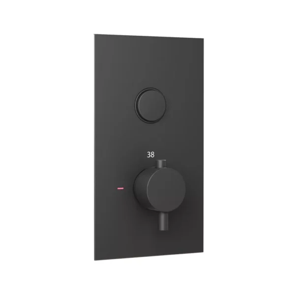 Concealed Thermostatic Shower Valve with Single Round Push Button