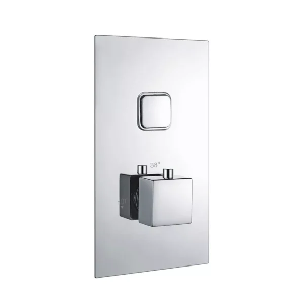 Concealed Thermostatic Shower Valve with Single Square Push Button