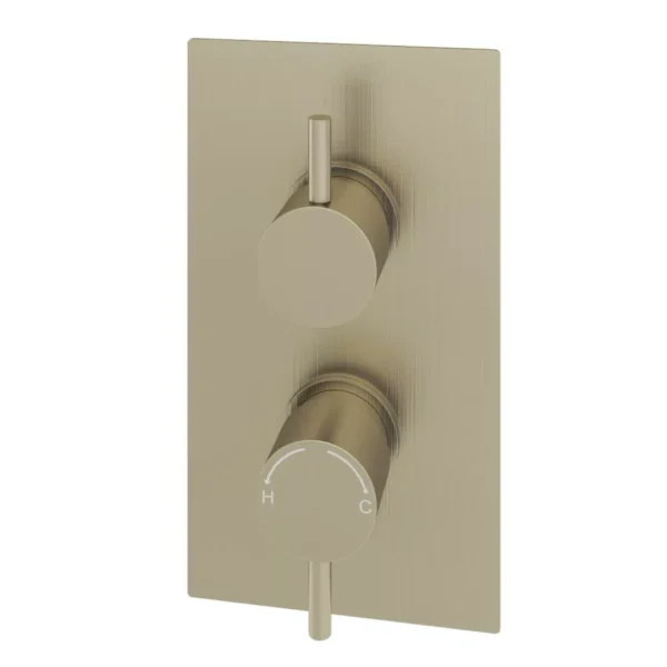 Concealed Thermostatic Twin Shower Valve with Round Handles