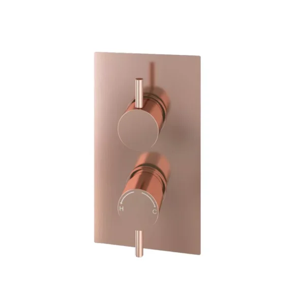 Modern Round Thermostatic Two Way Concealed Shower Valve