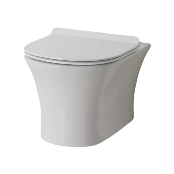 Northall Wallhung WC